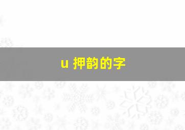 u 押韵的字